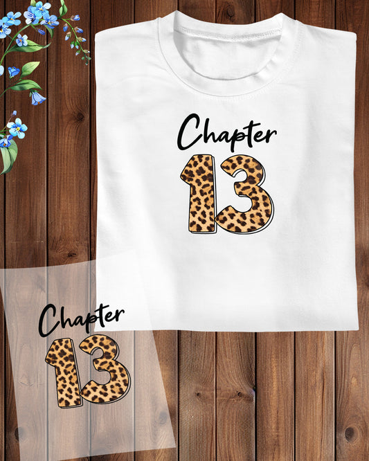 Chapter 13 Leopard Birthday DTF Transfer Film
