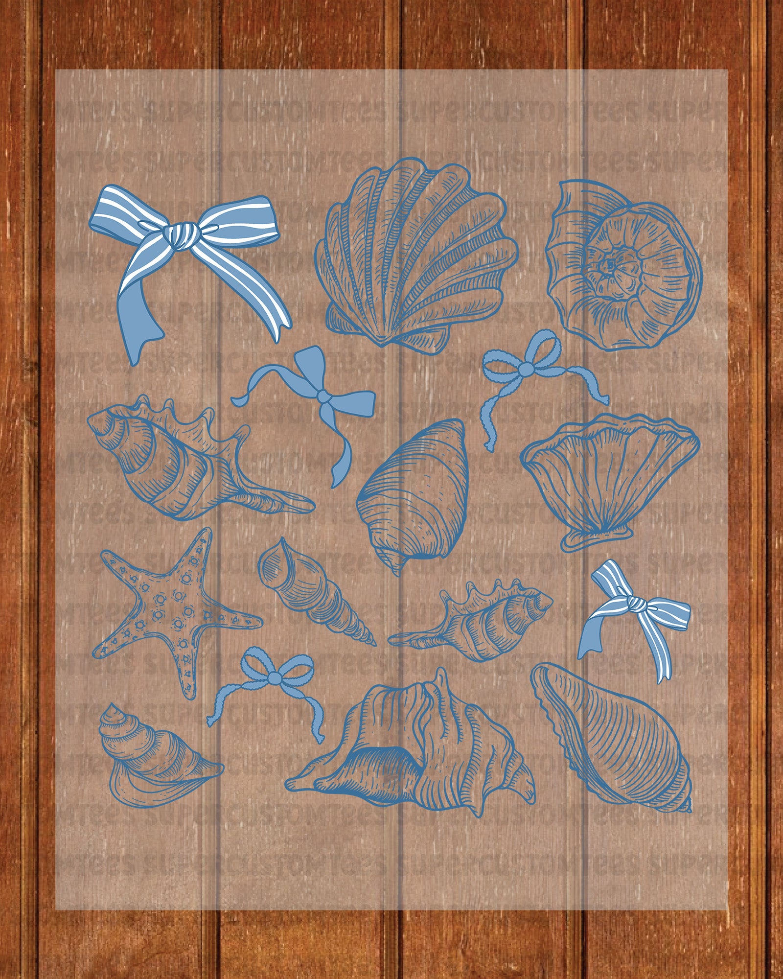 Coquette Seashell Heat Transfer