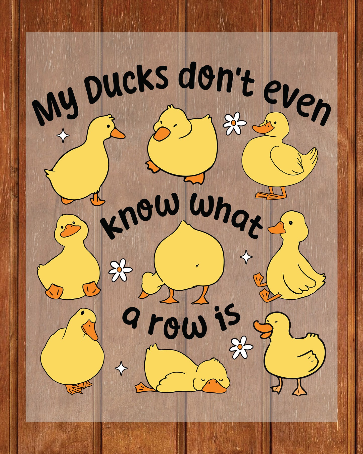 Funny Ducks Snarky Sarcastic DTF Transfer