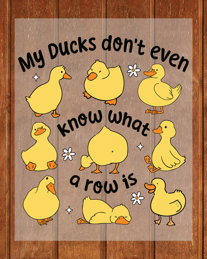 Funny Ducks Snarky Sarcastic DTF Transfer