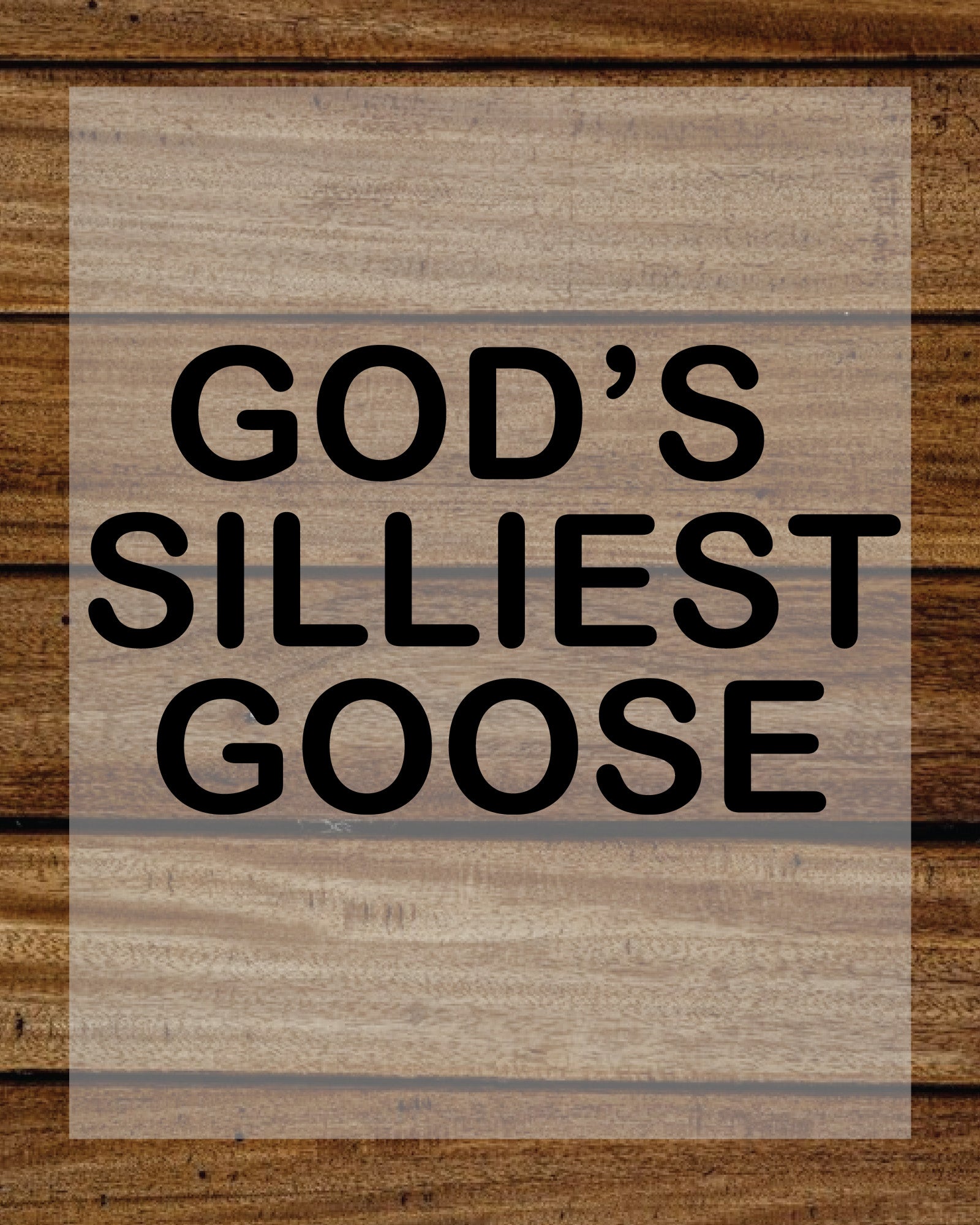 God’s Silliest Goose DTF Transfer