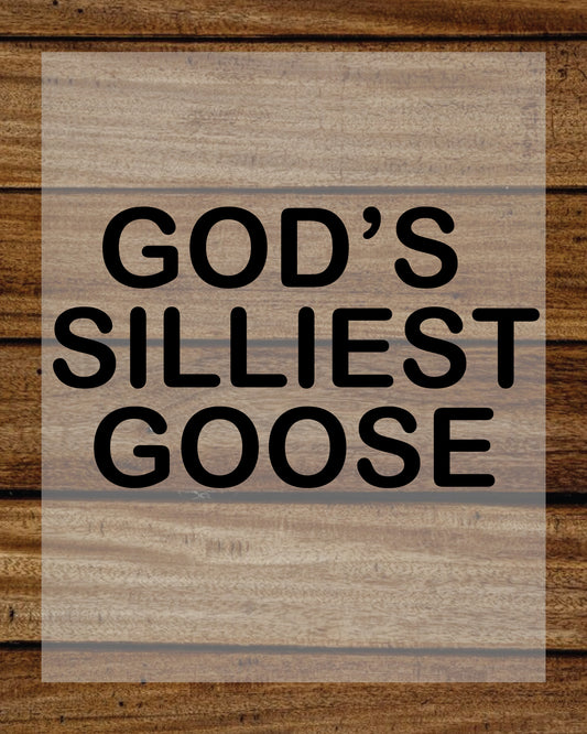God’s Silliest Goose DTF Transfer