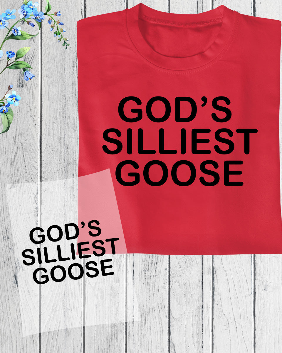 God’s Silliest Goose DTF Transfer