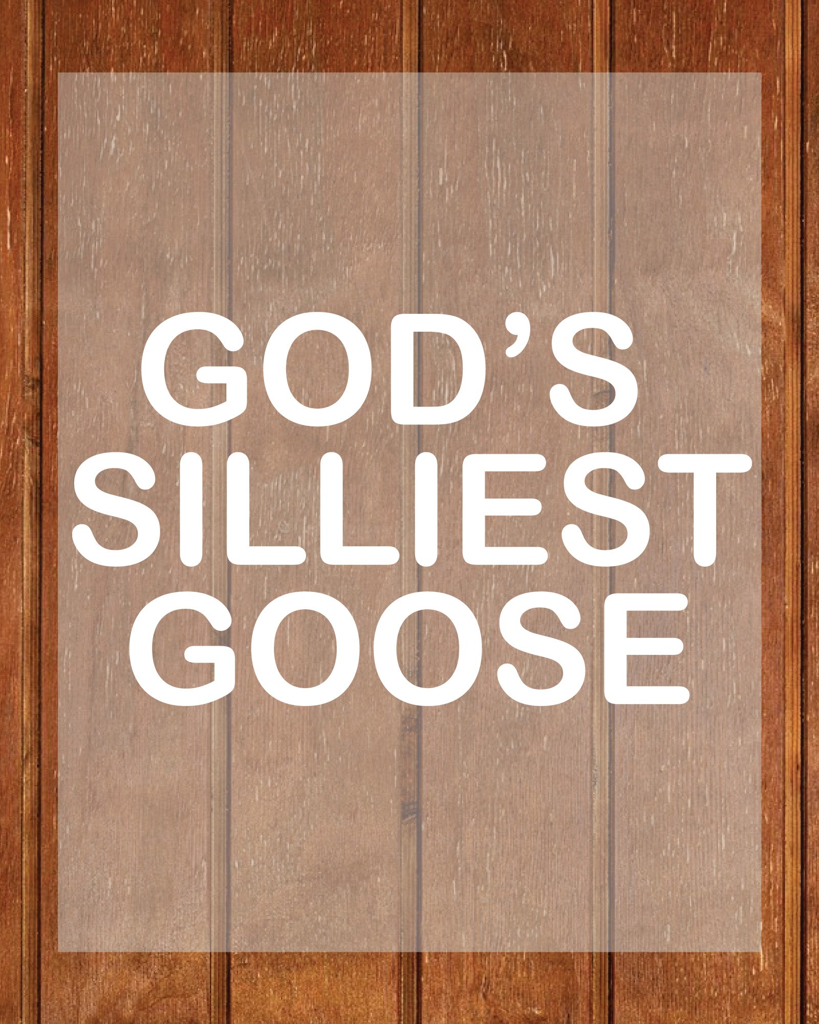 God’s Silliest Goose Shirt DTF Transfer