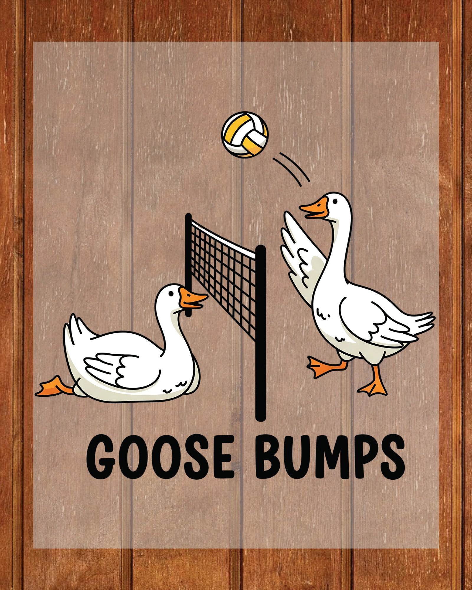 Goose Bumps Volleyball DTF Transfer