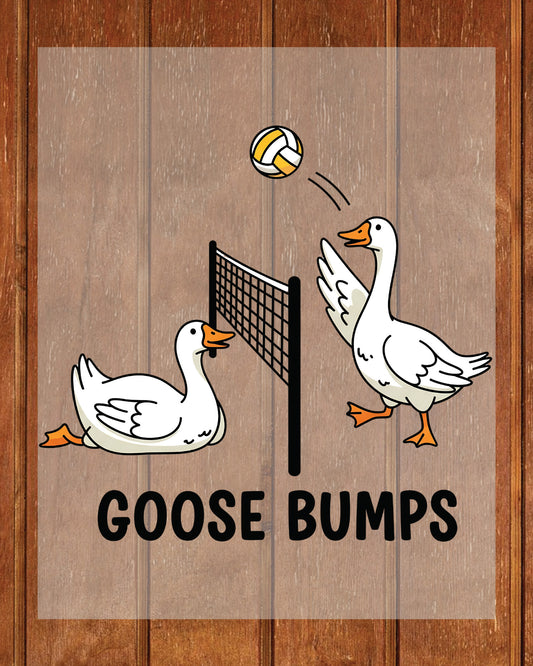 Goose Bumps Volleyball DTF Transfer