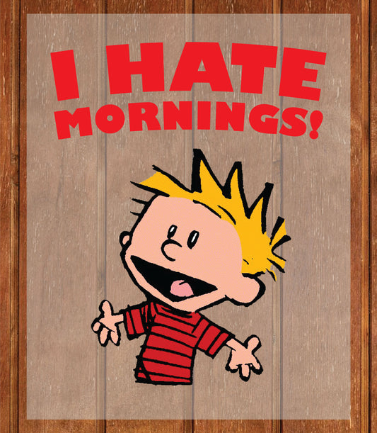 Cartoon DTF Transfer Ready to Press, I Hate Mornings Funny Heat Transfer For Shirt, Vintage Character UV Sticker Prints