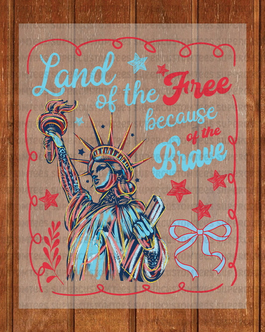Land of the Free DTF Transfer
