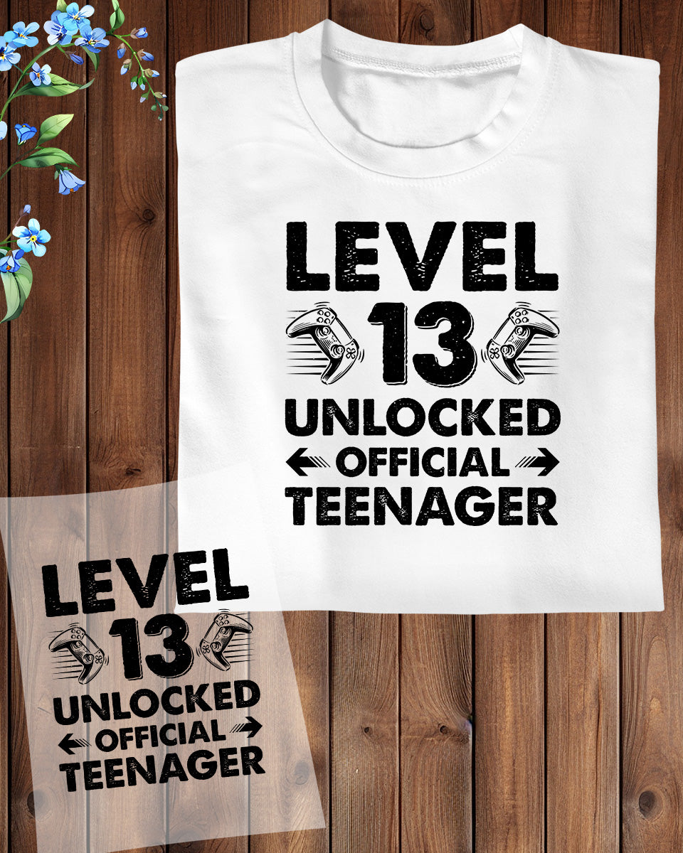 Level 13 Unlocked Official Teenager Gift Birthday DTF Transfer Film