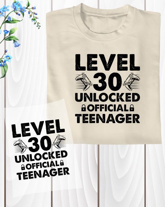 Level 30 Unlocked Official Teenager Funny Birthday DTF Transfer Film