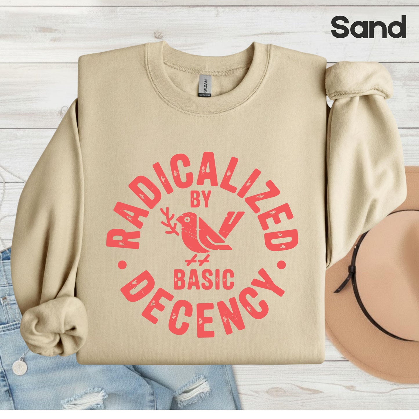 Radicalized by Basic Decency Comfort Colors T Shirts