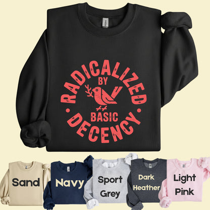 Radicalized by Basic Decency Comfort Colors T Shirts