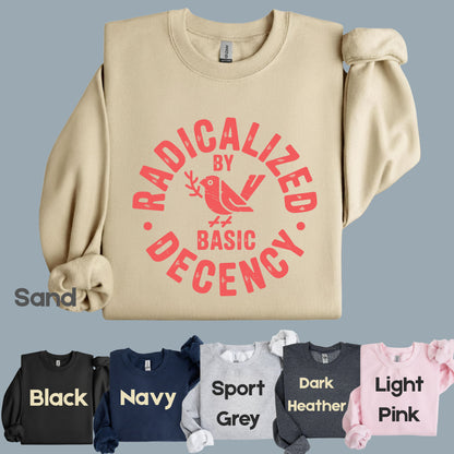 Radicalized by Basic Decency Comfort Colors T Shirts