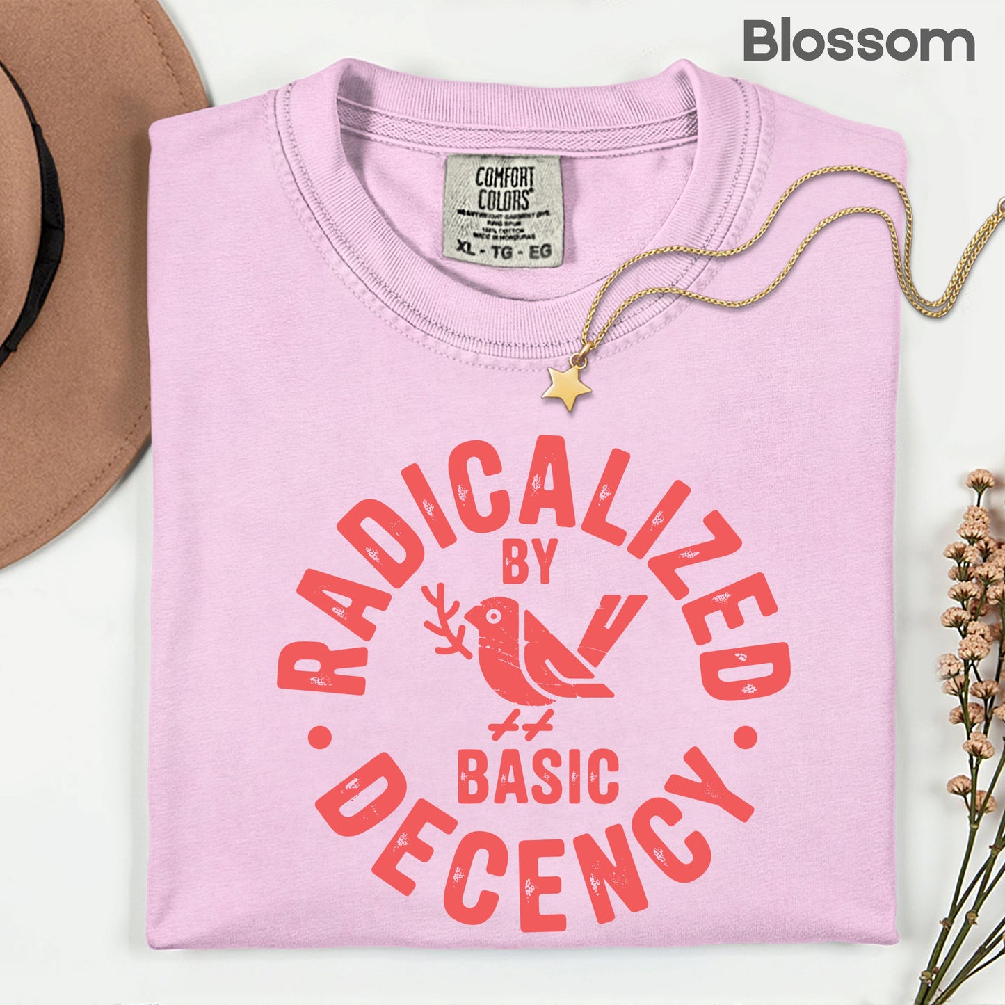 Radicalized by Basic Decency Comfort Colors T Shirts