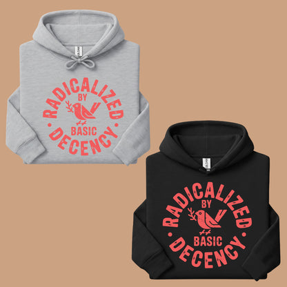 Radicalized by Basic Decency Comfort Colors T Shirts