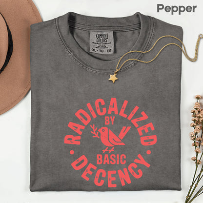 Radicalized by Basic Decency Comfort Colors T Shirts Activist Sweatshirt Social Justice Tees For Women Human Rights Sweater
