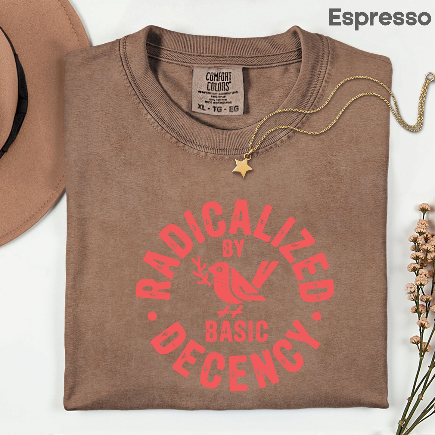 Radicalized by Basic Decency Comfort Colors T Shirts