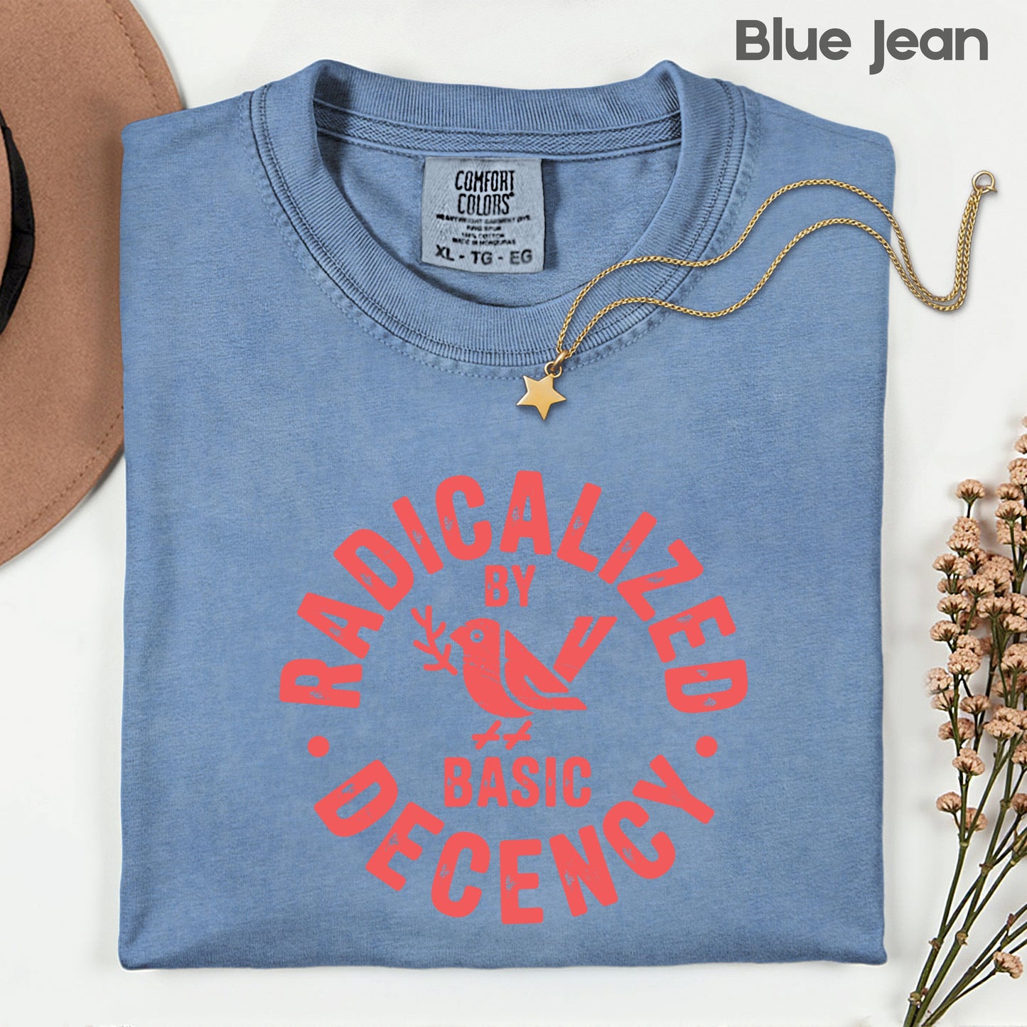 Radicalized by Basic Decency Comfort Colors T Shirts