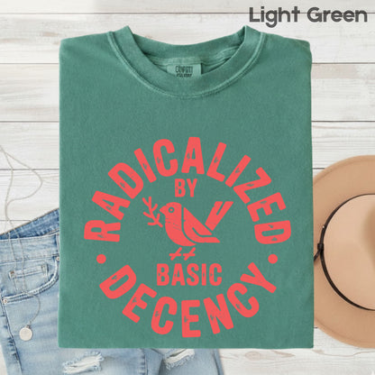 Radicalized by Basic Decency Comfort Colors T Shirts