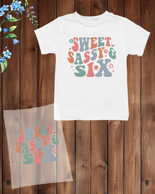 Sweet Sassy & Six Birthday DTF Transfer Film