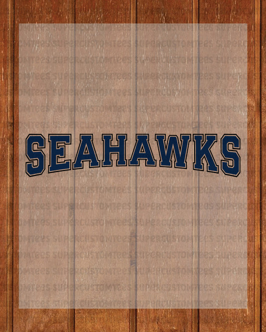 Seahawks DTF Heat Transfer Ready to Press