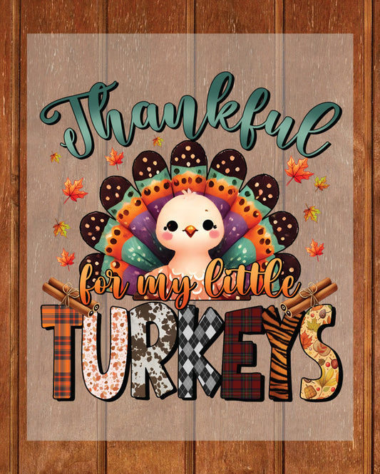Thanksgiving Thankful Turkeys Heat Transfer