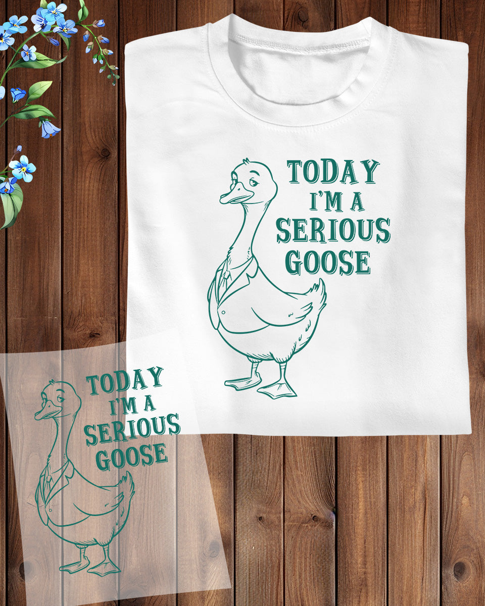 Today I’m a Serious Goose Heat Transfer